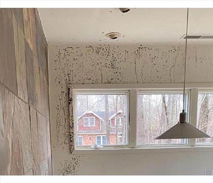 A kitchen wall with spatters of mold showing clearly on it