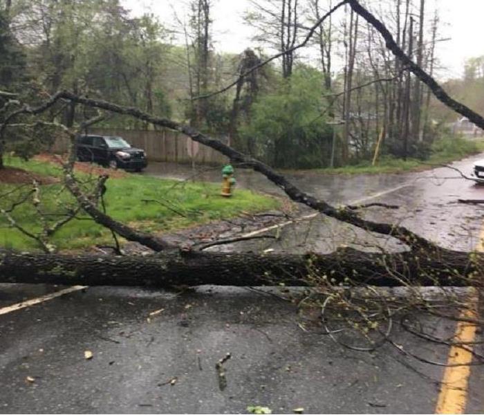 A large broken-off tree branch wrapped in live wires lays in the middle of the road after a bad storm