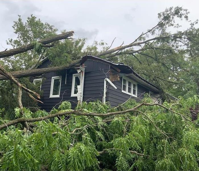 A large tree laying on top of a gray-colored house having fallen on it in a storm