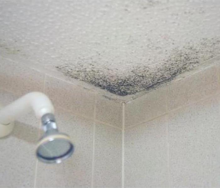 Black mold spots on the white ceiling of a shower stall