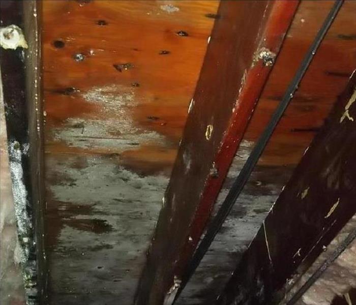 An exposed basement ceiling with noticeable mold growth occurring.