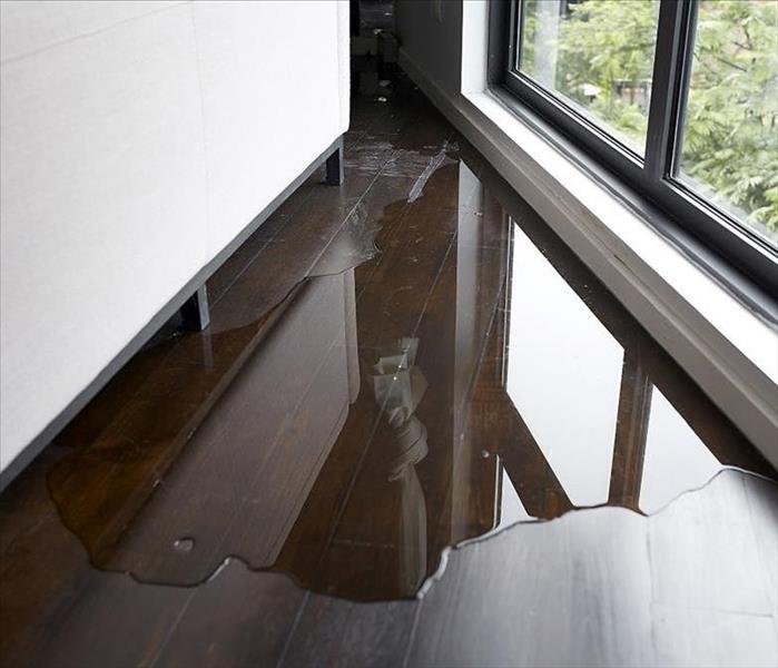 A large puddle of water inside a home beneath a white couch, next to a sliding glass door.